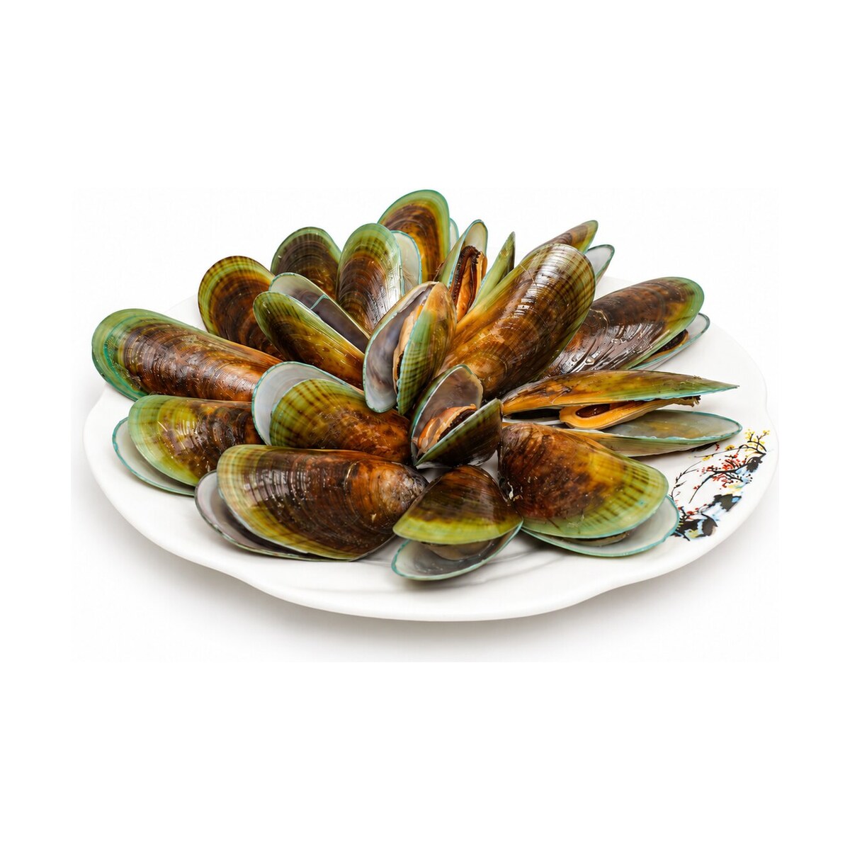 מולים — Mussels