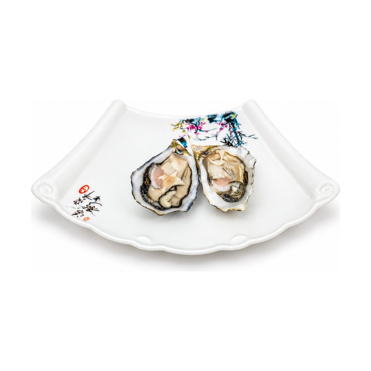 צדפות אויסטר — Oysters